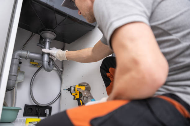 Best Local Plumber Services  in Panthersville, GA